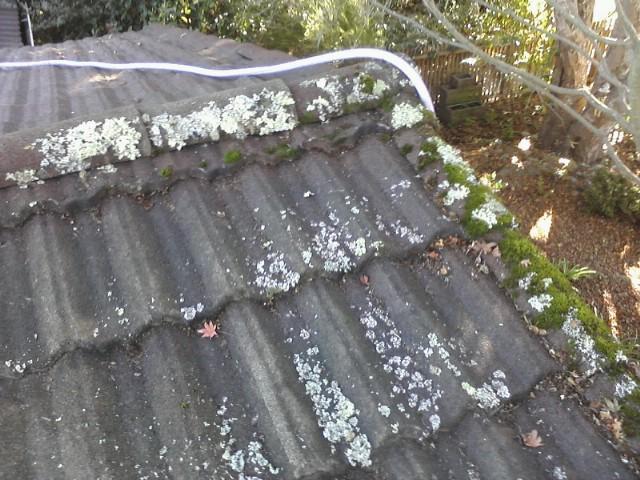 roof-before-cleaning-1