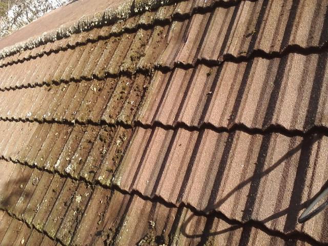 roof-before-cleaning-2