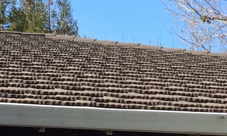 roofing provider in San Jose, CA
