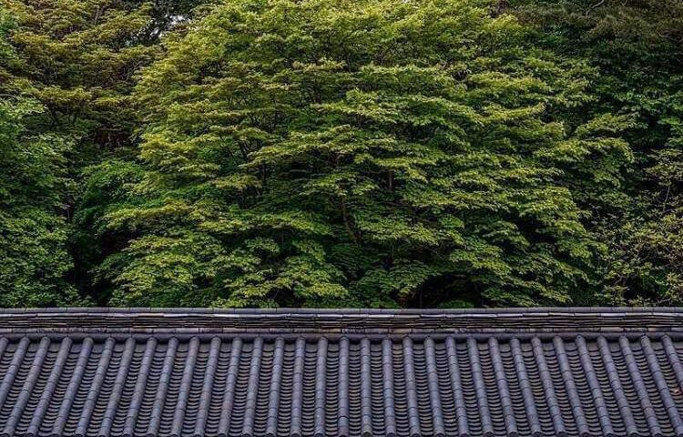 metal roofing in San Jose, CA