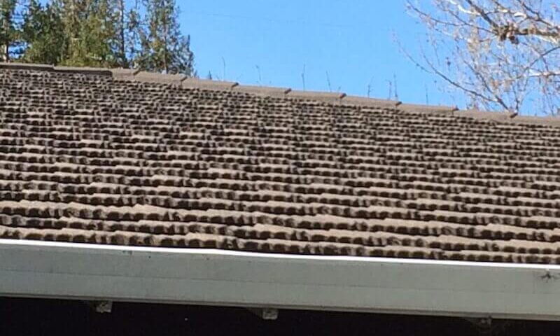 Sunnyvale, CA, roofing company