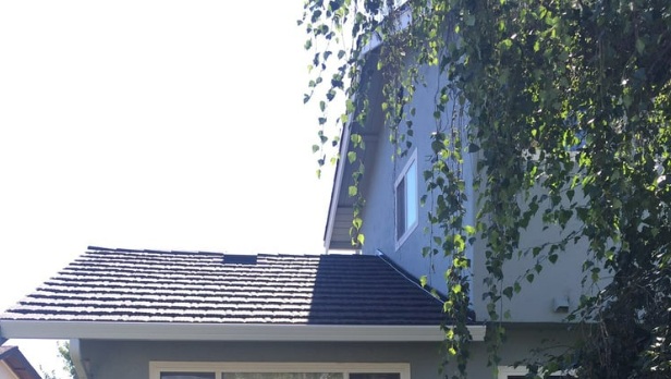 House roof with gray shingles and tree branches hanging above in Sunnyvale